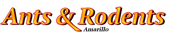 Amarillo Ant Exterminator & Rodent Control Company Logo